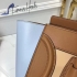 Celine luggage tote tricolor